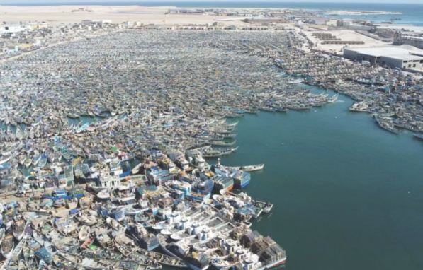 وزارة الصيد: استئناف الصيد التقليدي في 15 يوليو
