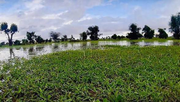 موريتانيا: تساقطات مطرية على مناطق متفرقة