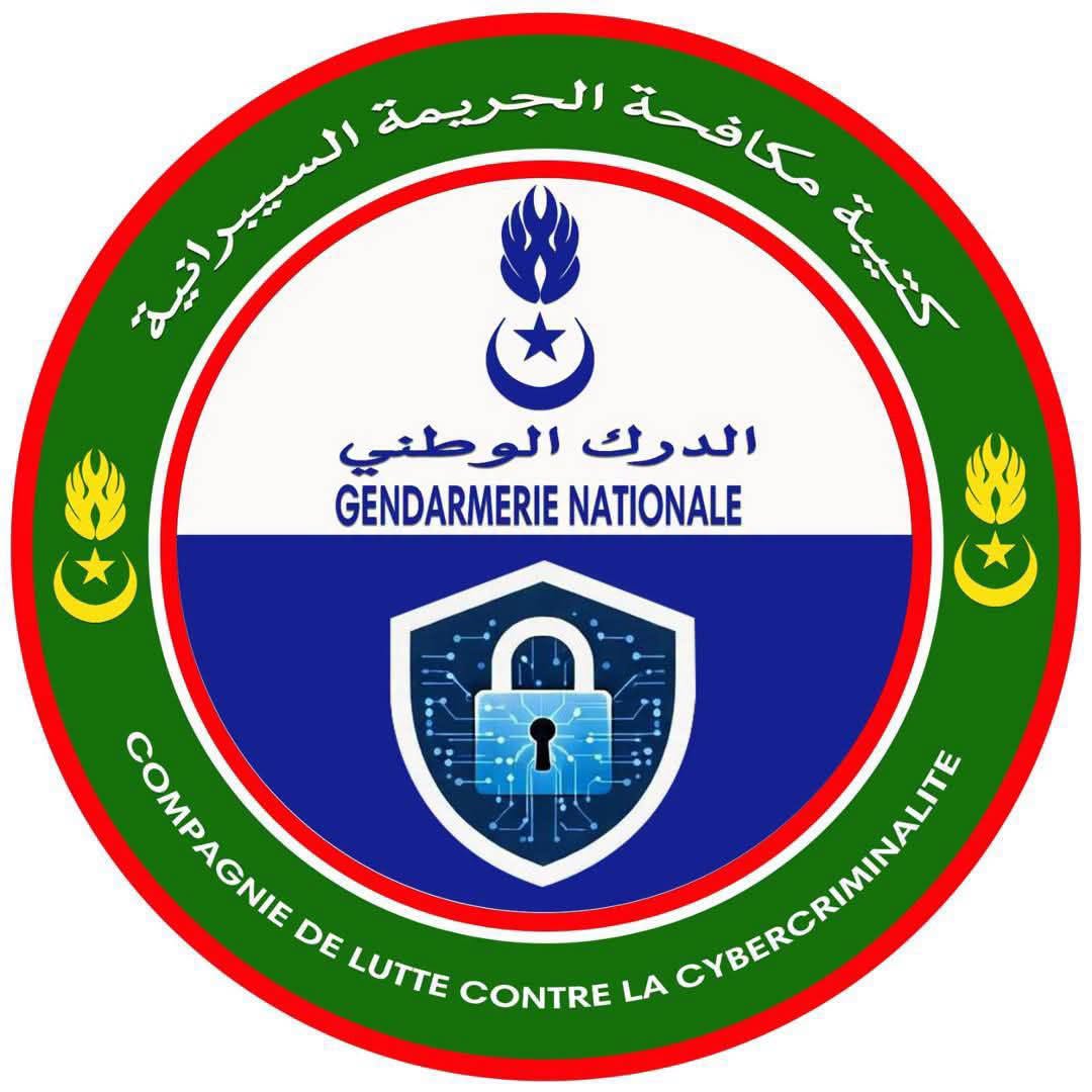 مكافحة الجريمة السيبرانية تفكك شبكة لسرقة الحسابات المصرفية
